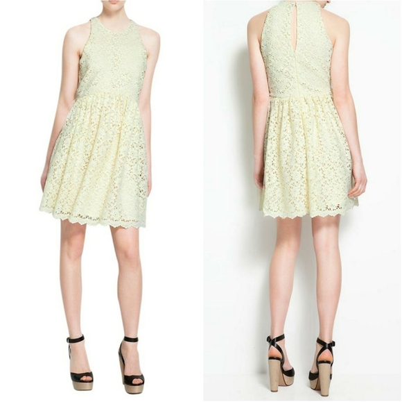 Zara Dresses & Skirts - ZARA Guipure Lace Fit & Flare Spring Dress Medium